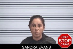 Sandra Evans mugshot