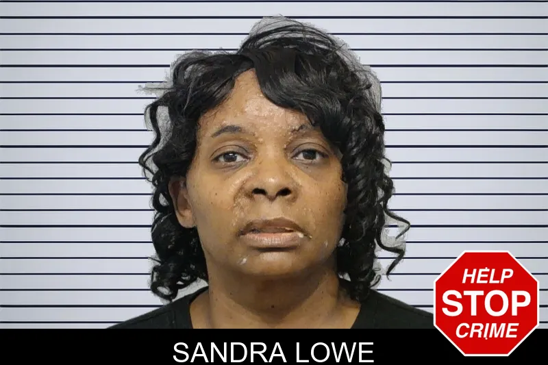 Sandra Lowe Mugshots