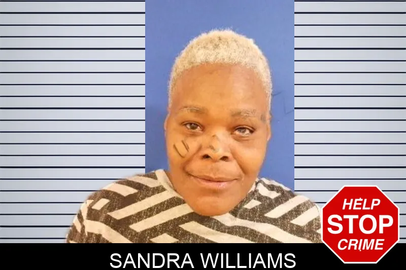 Sandra Williams mugshot