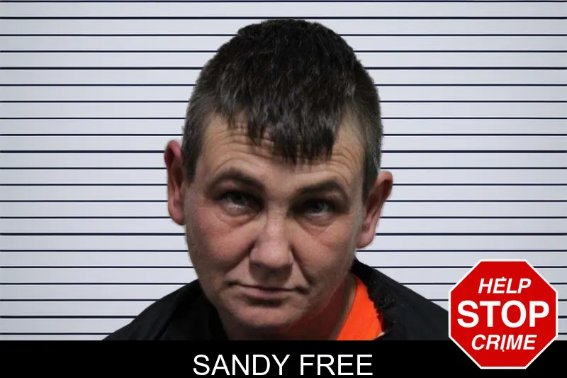 Sandy Free Mugshots