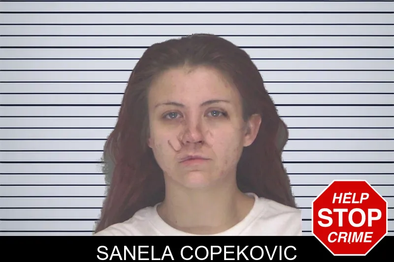Sanela Copekovic Mugshots