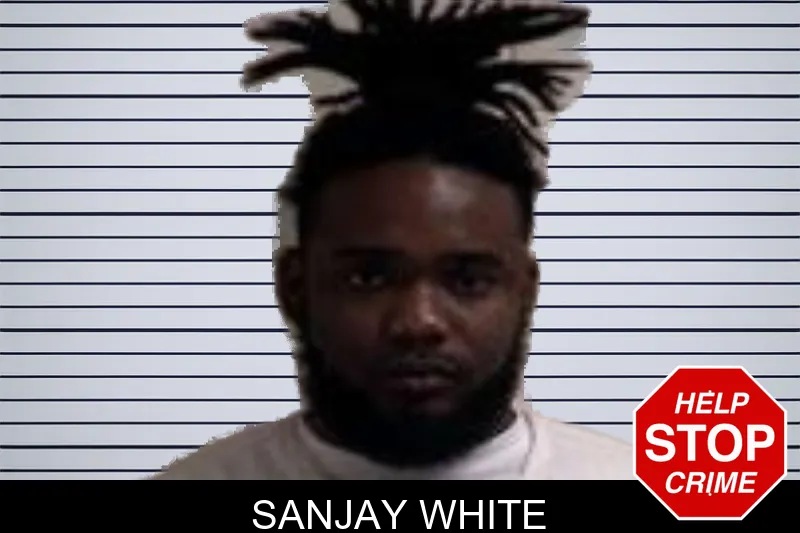 Sanjay White of Henry County, Georgia Sanjay White Mugshots