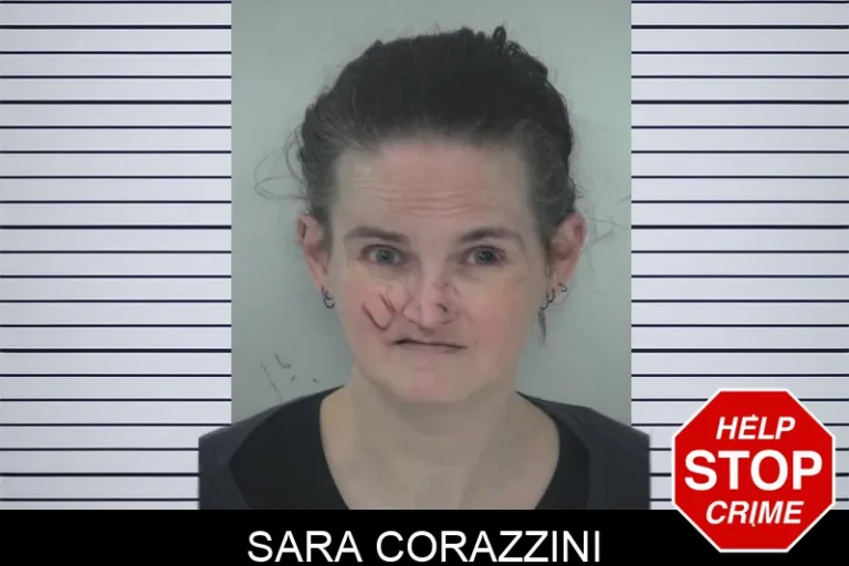 Sara Corazzini mugshot – Fayette County , Georgia Sara Corazzini