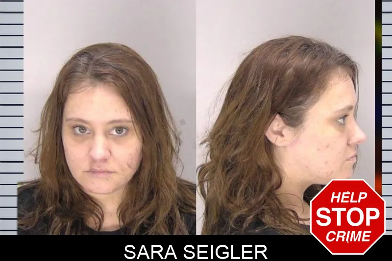 Sara Seigler Mugshots