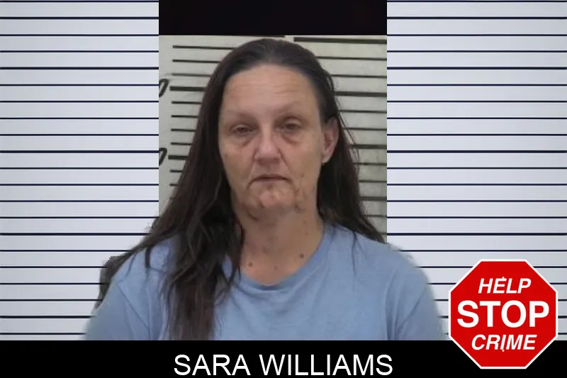Sara Williams Mugshots
