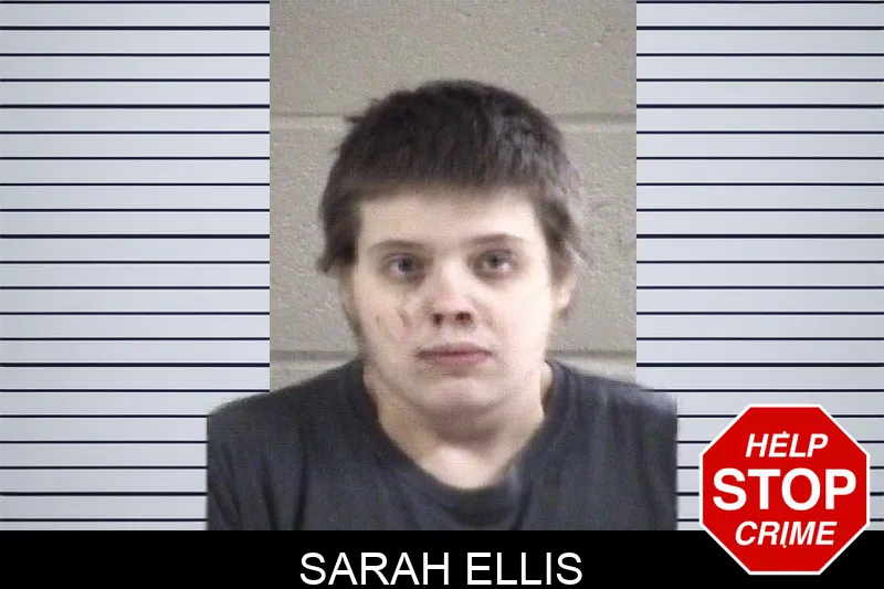 Sarah Ellis mugshot