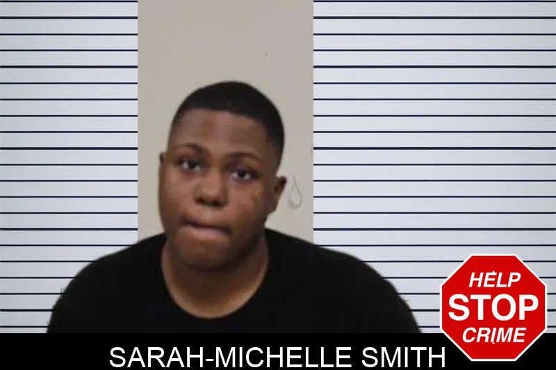 Sarah-Michelle Smith Mugshots