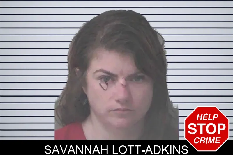 Savannah Lott-Adkins mugshot – Newton County , Georgia Savannah Lott-Adkins mugshot