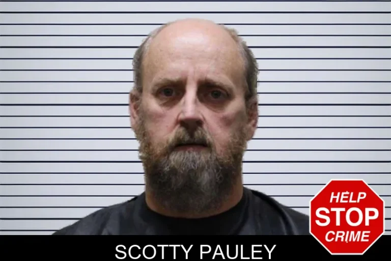 Scotty Pauley