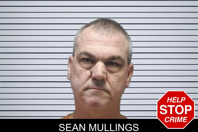 Sean Mullings mugshot – Cherokee County , Georgia Sean Mullings mugshot