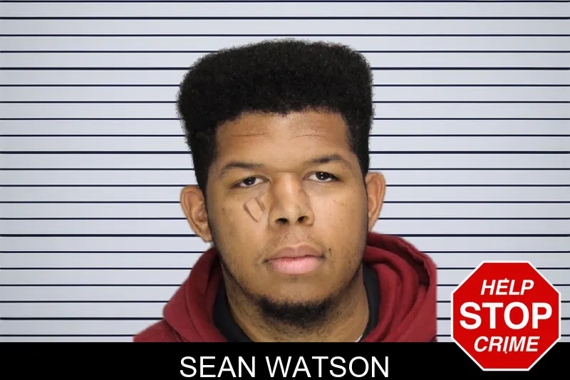 Sean Watson mugshot – Cobb County , Georgia Sean Watson mugshot