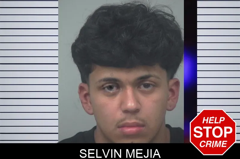 Selvin Mejia mugshot – Gwinnett County , Georgia Selvin Mejia mugshot