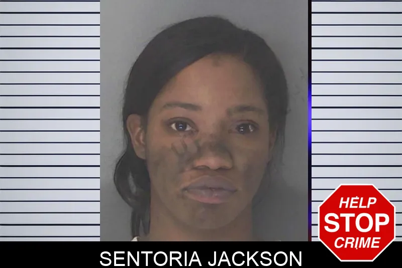 Sentoria Jackson mugshot – Douglas County , Georgia Sentoria Jackson mugshot