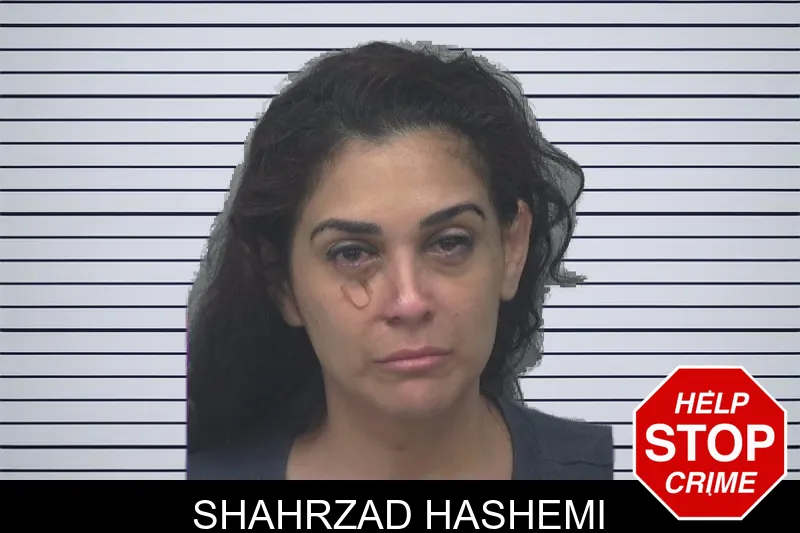 Shahrzad Hashemi mugshot – Gwinnett County , Georgia Shahrzad Hashemi mugshot