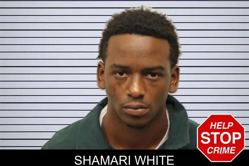 Shamari White mugshot – Chatham County , Georgia Shamari White mugshot