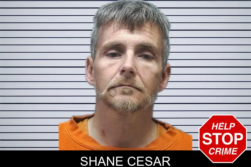 Shane Cesar Mugshots