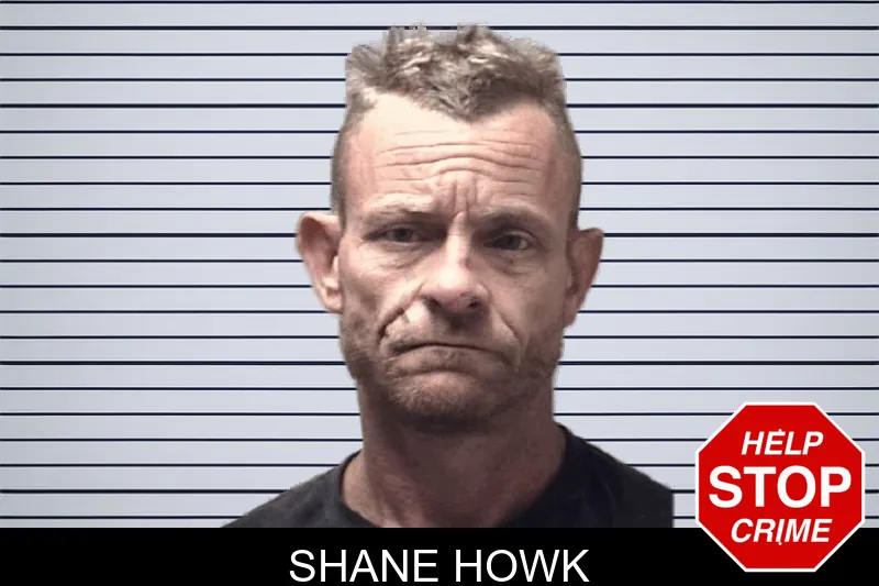 Shane Howk mugshot