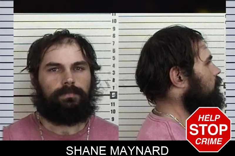Shane Maynard Mugshots