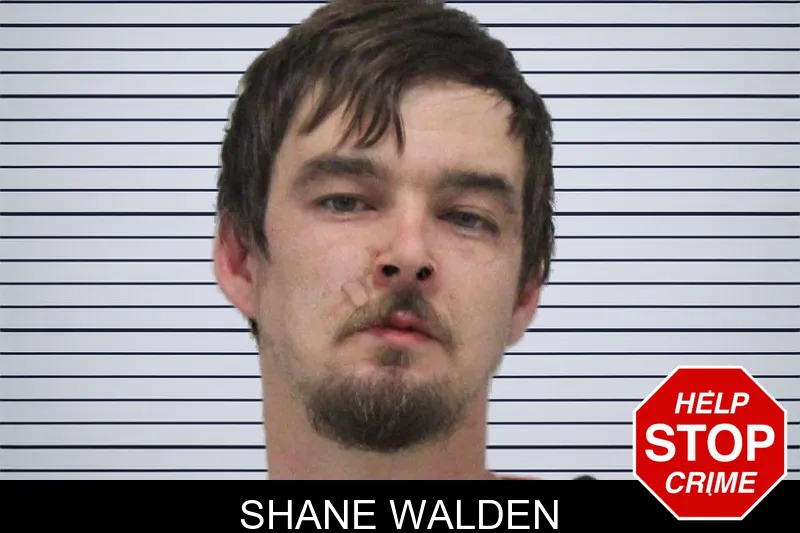 Shane Walden Mugshots