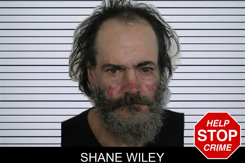Shane Wiley Mugshots