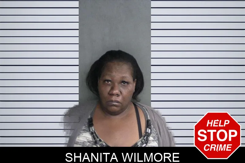 Shanita Wilmore Mugshots