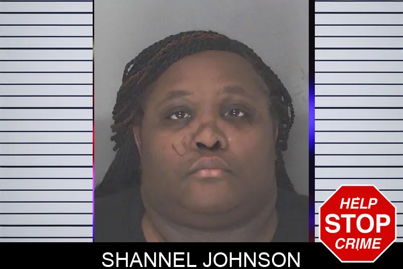 Shannel Johnson Mugshots