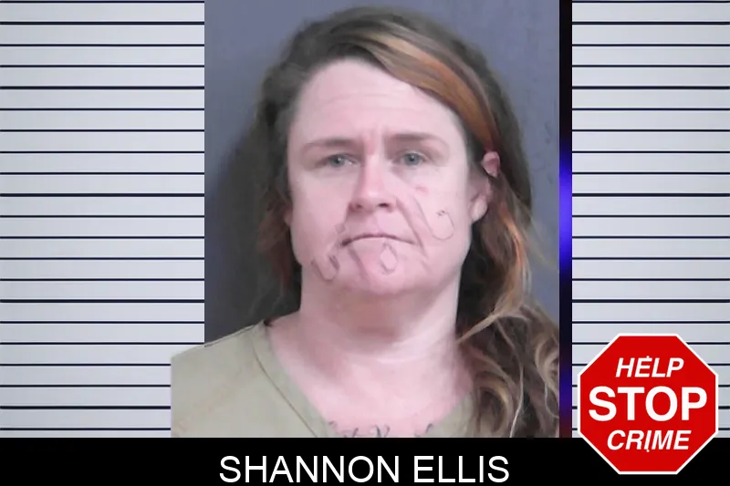 Shannon Ellis mugshot