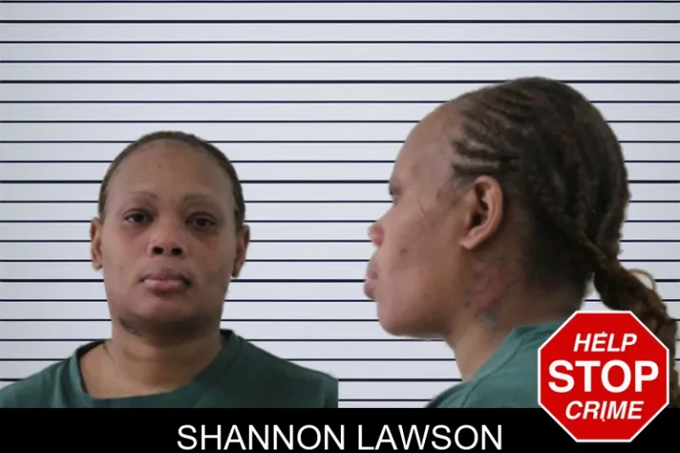 Shannon Lawson mugshot – Houston County , Georgia Shannon Lawson