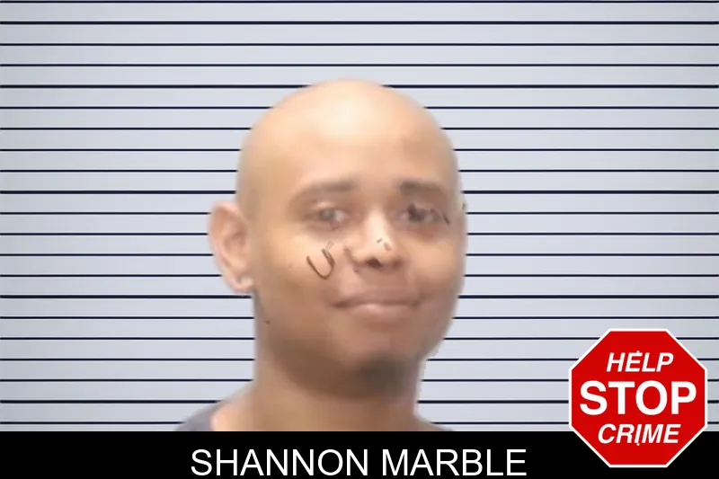 Shannon Marble mugshot