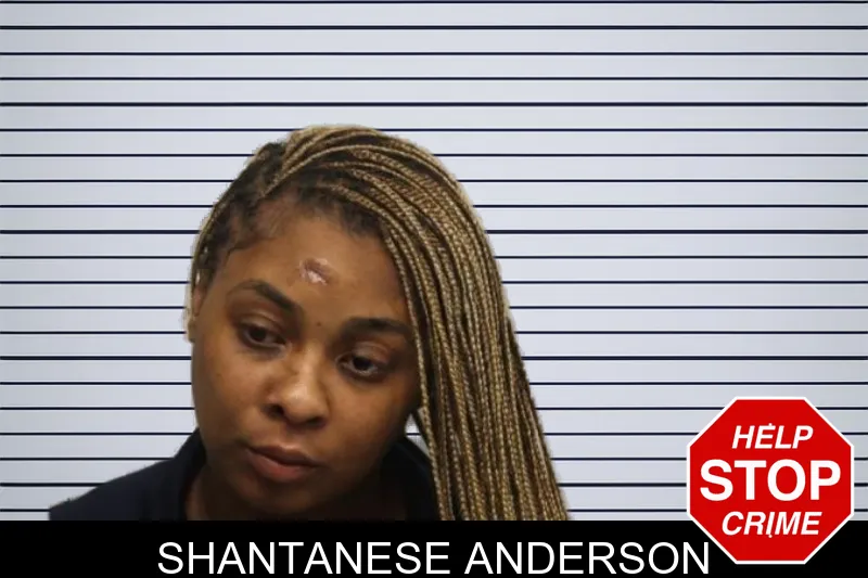 Shantanese Anderson mugshot