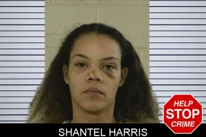 Shantel Harris mugshot