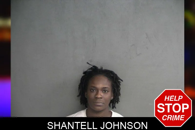 Shantell Johnson Mugshots