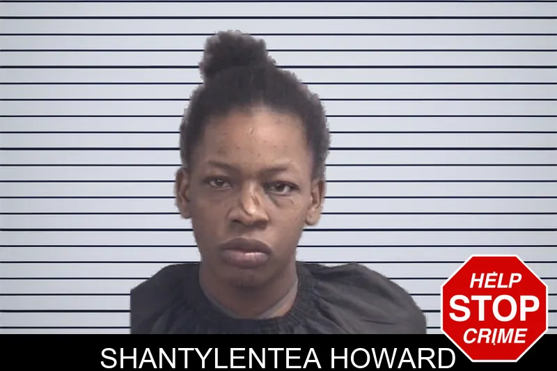 Shantylentea Howard Mugshots