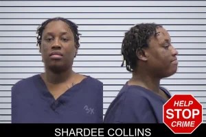 Shardee Collins mugshot