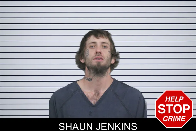 Shaun Jenkins mugshot