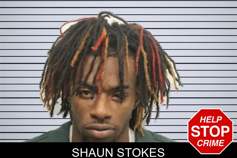 Shaun Stokes mugshot