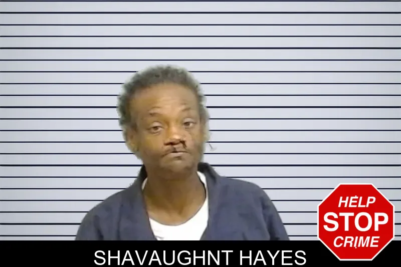 Shavaughnt Hayes mugshot