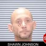 Shawn Johnson mugshot