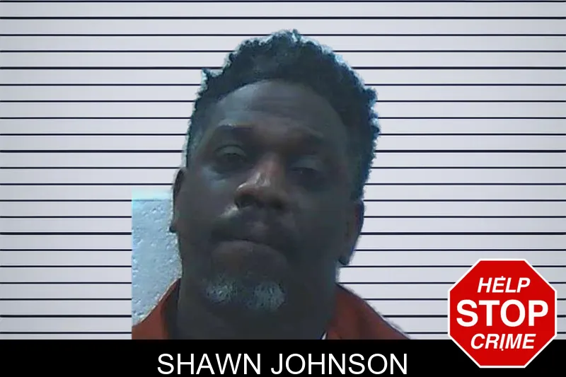 Shawn Johnson mugshot