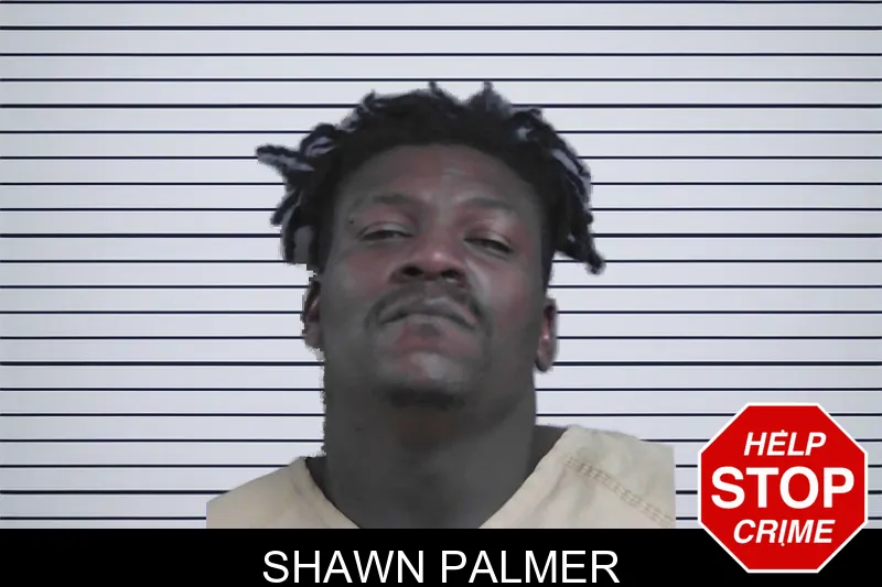 Shawn Palmer mugshot