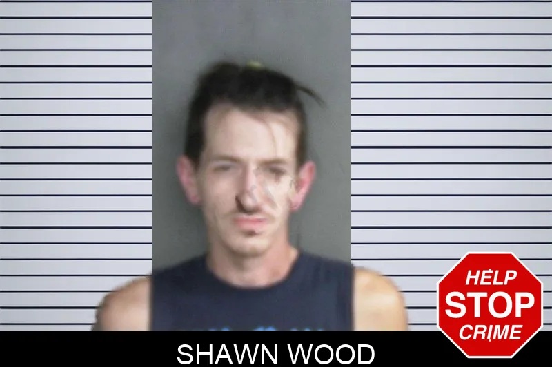 Shawn Wood Mugshots
