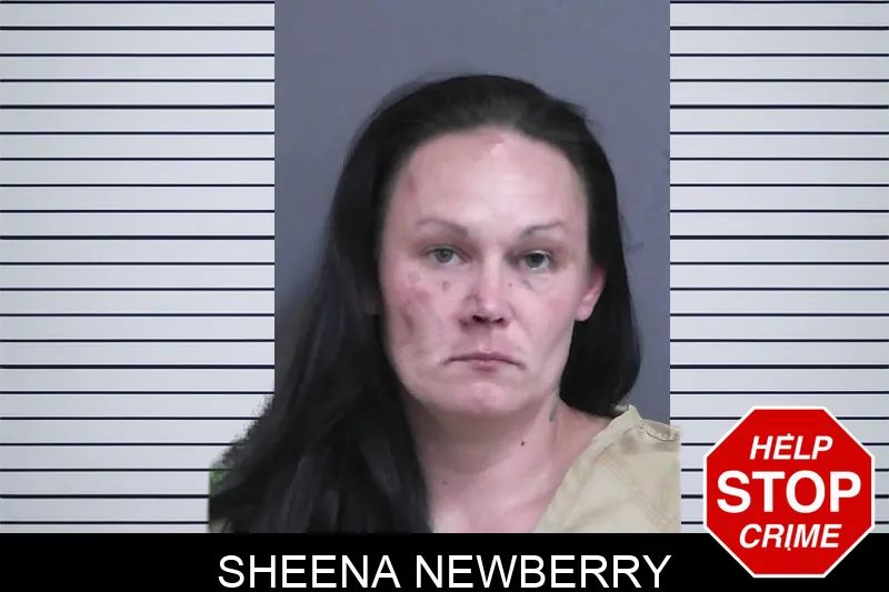 Sheena Newberry mugshot – Gordon County , Georgia Sheena Newberry mugshot