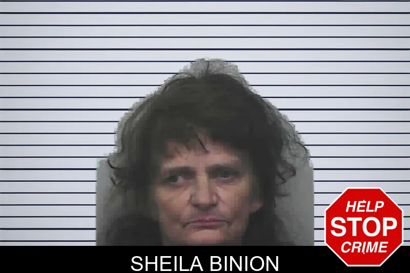 Sheila Binion mugshot