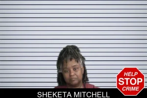 Sheketa Mitchell mugshot