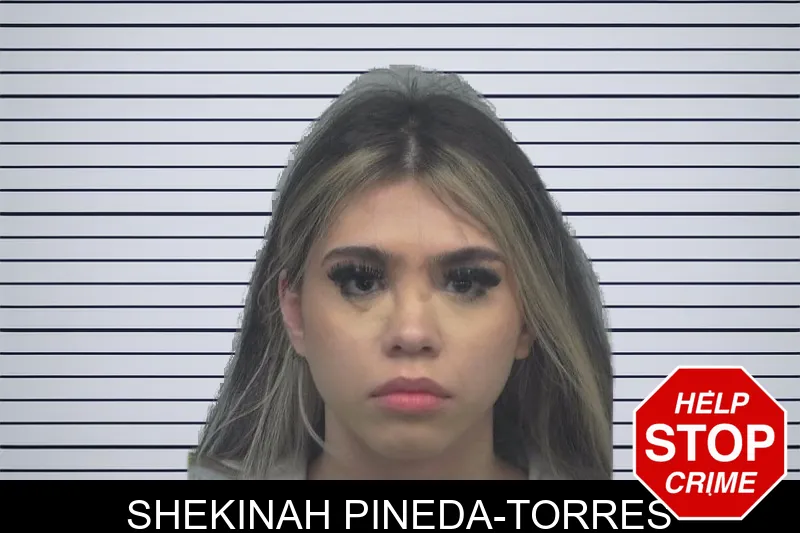 Shekinah Pineda-Torres Mugshots