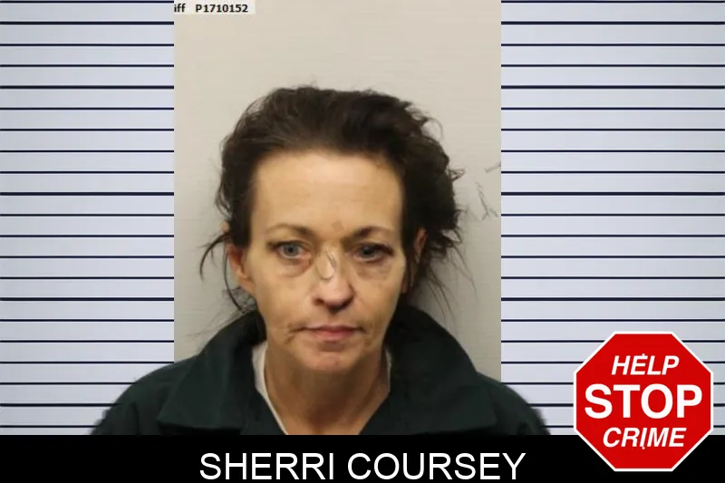 Sherri Coursey mugshot – Chatham County , Georgia Sherri Coursey mugshot