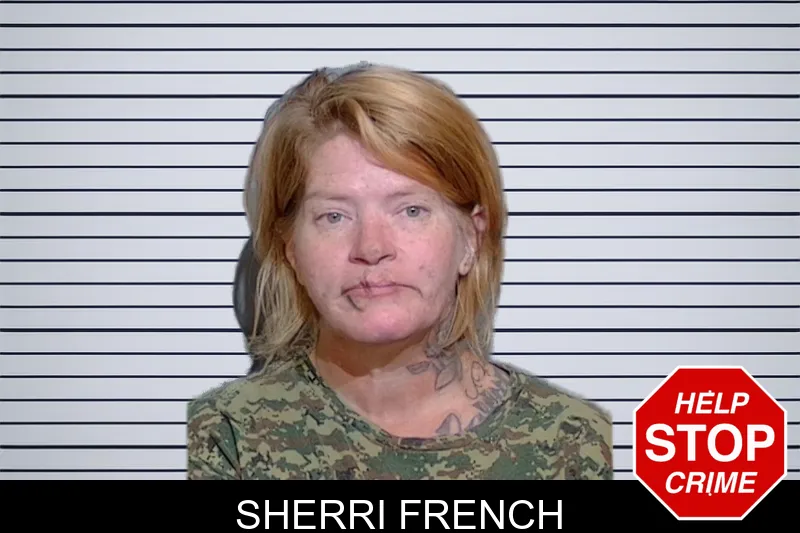Sherri French Mugshots