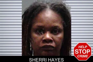 Sherri Hayes mugshot