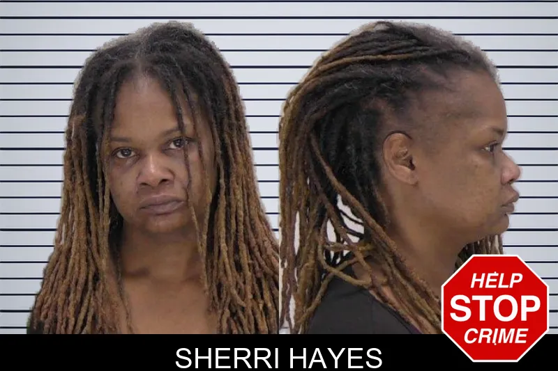 Sherri Hayes mugshot – Richmond County , Georgia Sherri Hayes mugshot