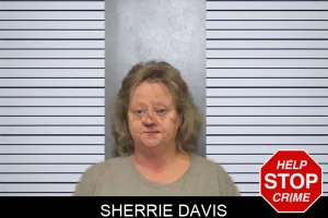Sherrie Davis mugshot